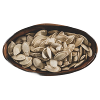 Pumpkin Seed Protein