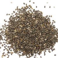 Chia Seed Protein